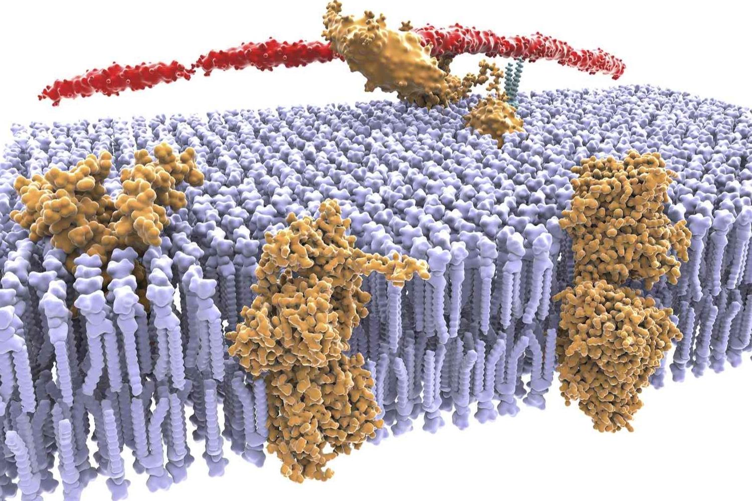 37-facts-about-permeable
