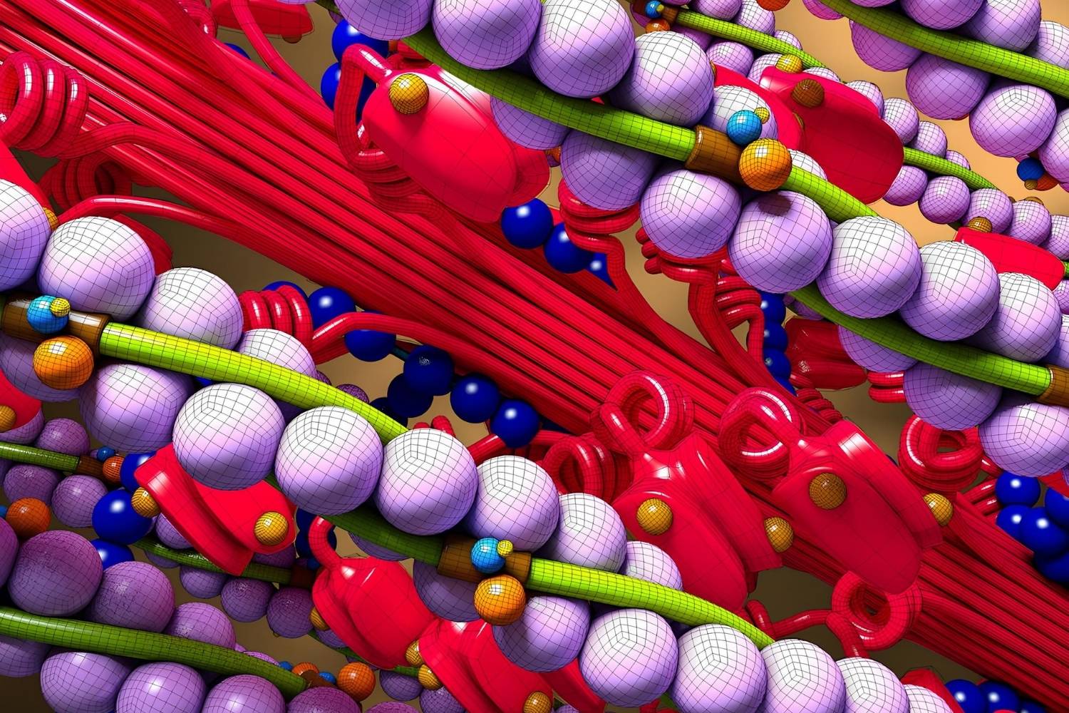 25-facts-about-actin