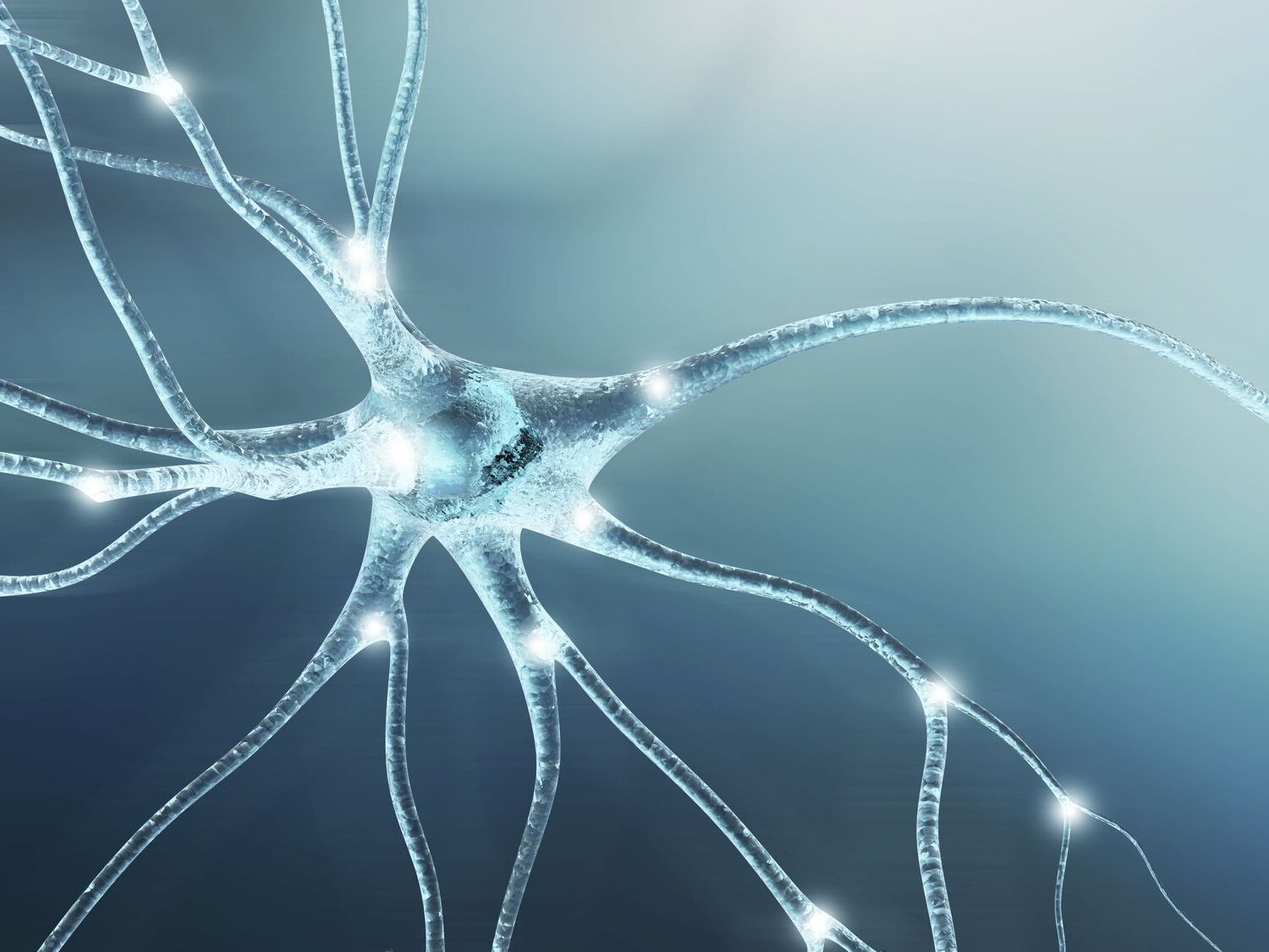 25-facts-about-action-potential