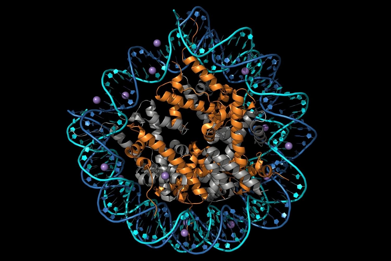 26-facts-about-histone-proteins