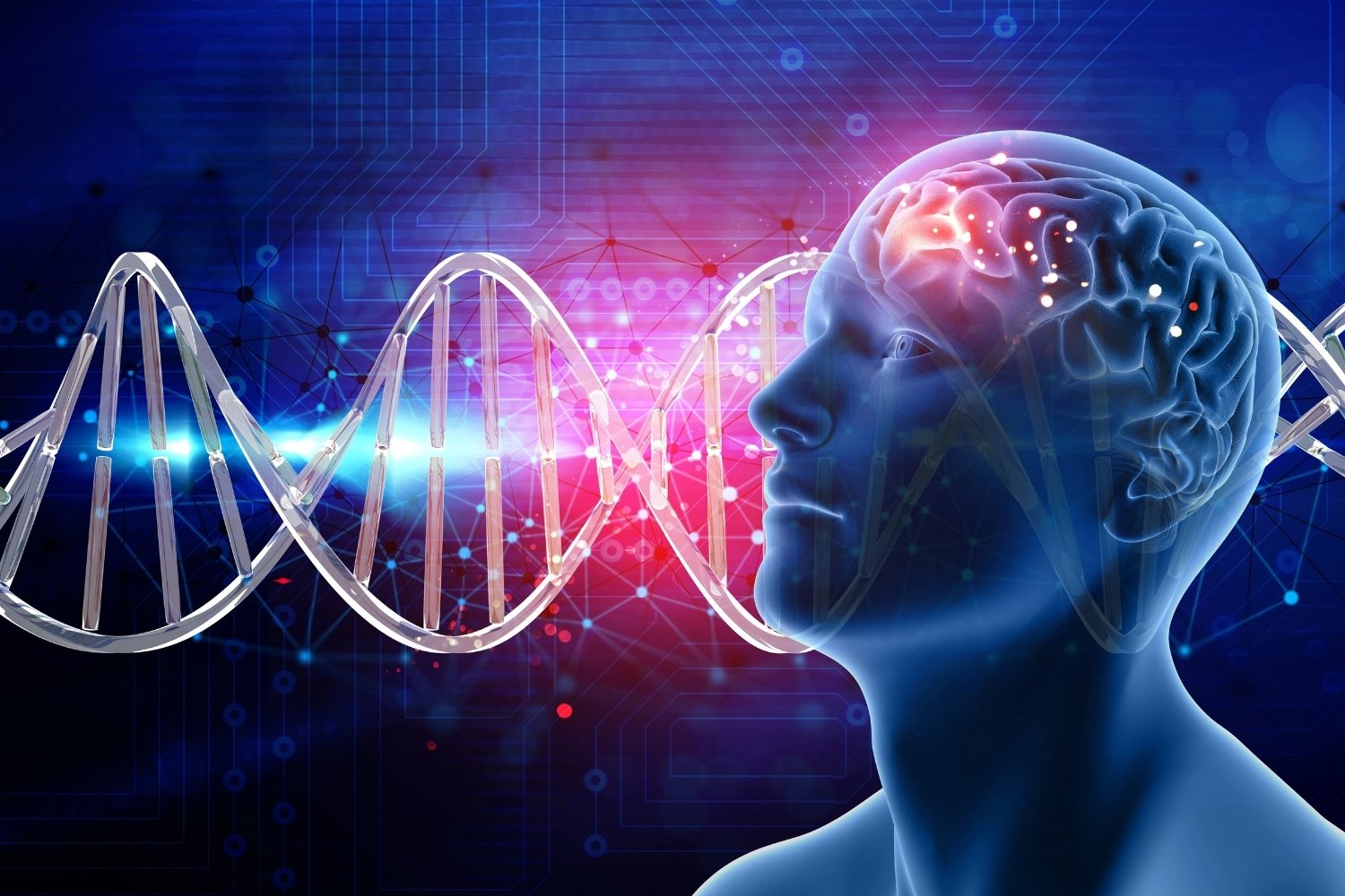 30-facts-about-neural-development