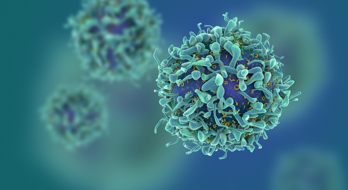 32-facts-about-t-cell