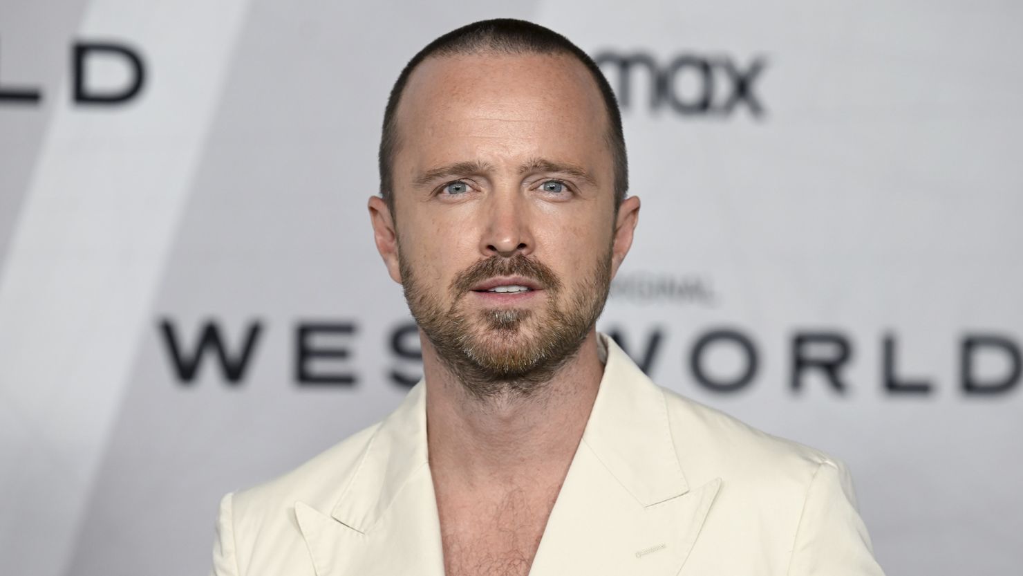 33 Facts About Aaron Paul 