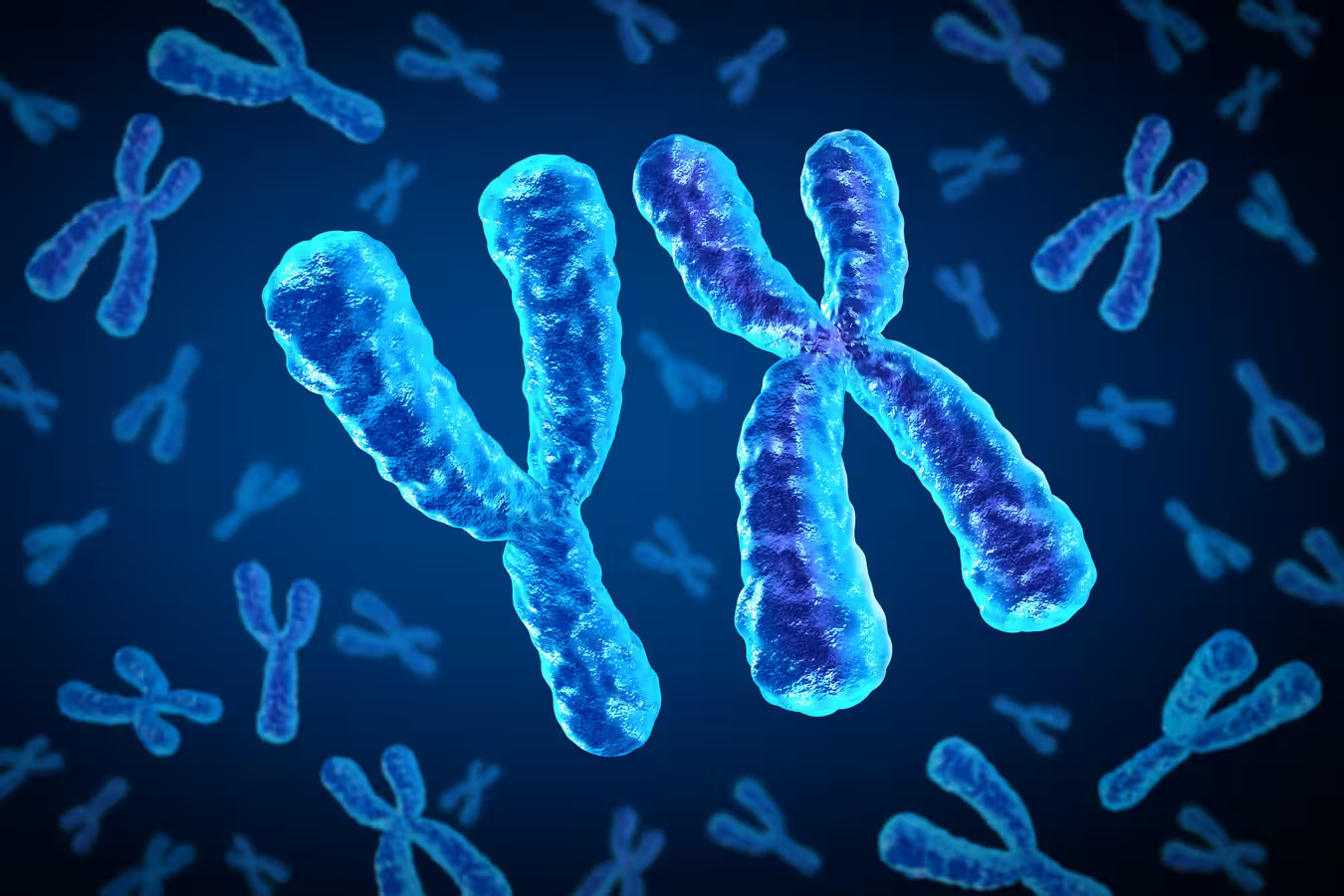33-facts-about-homologous-chromosomes