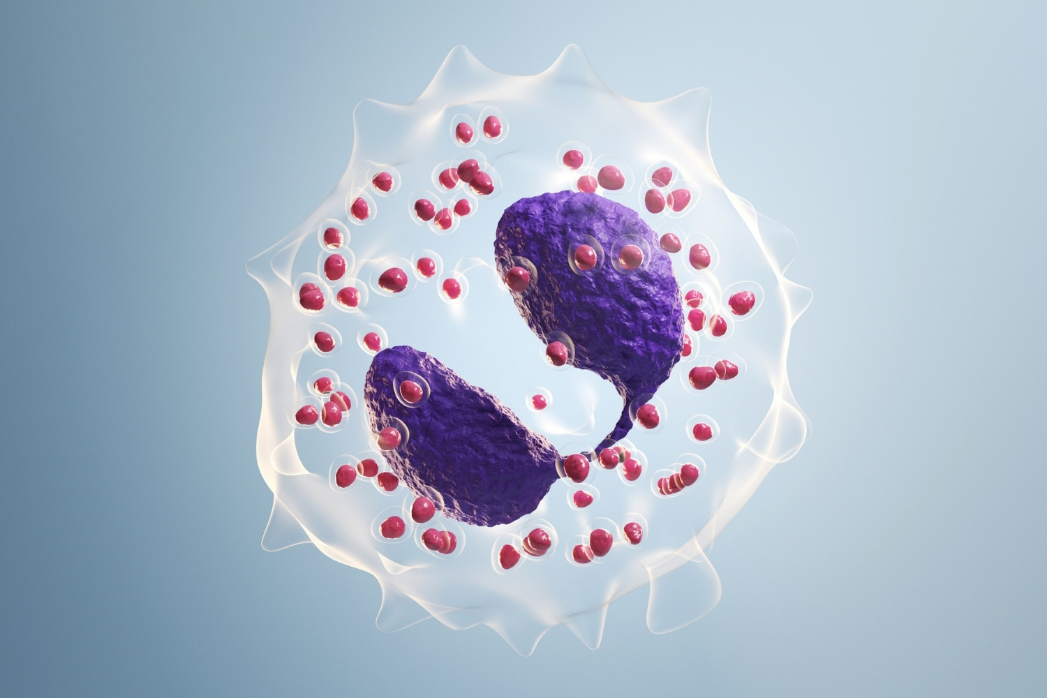 36-facts-about-eosinophil