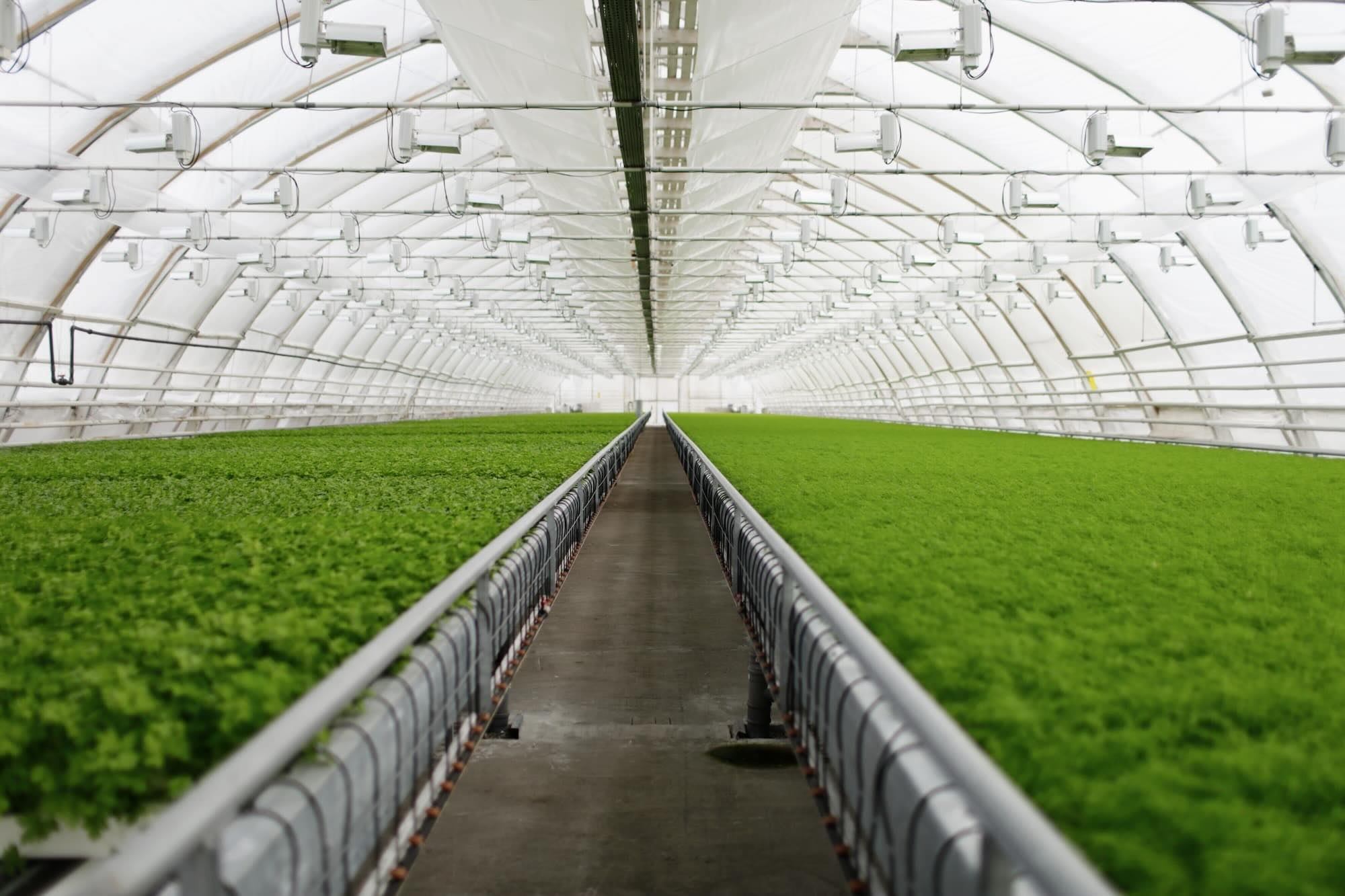 36-facts-about-smart-greenhouses
