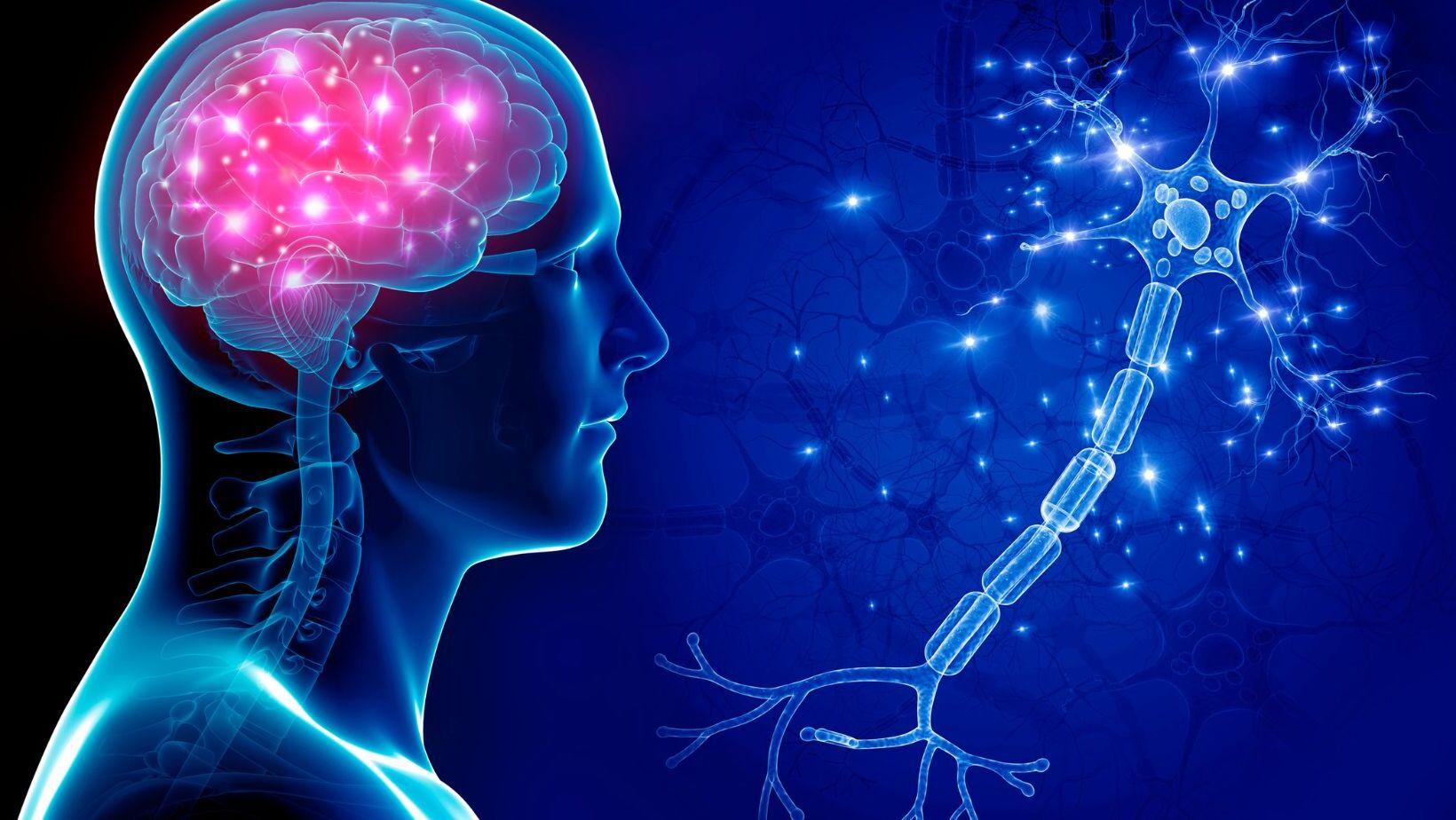 36-facts-about-stress-response