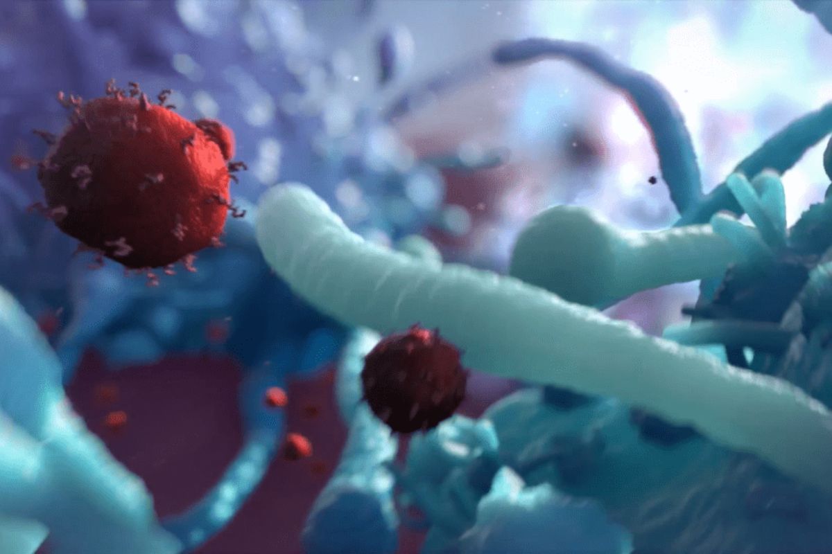 40-facts-about-innate-immune-system