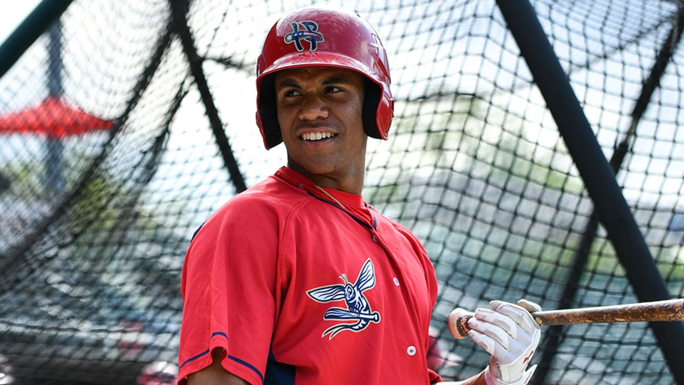 10-facts-about-juan-soto