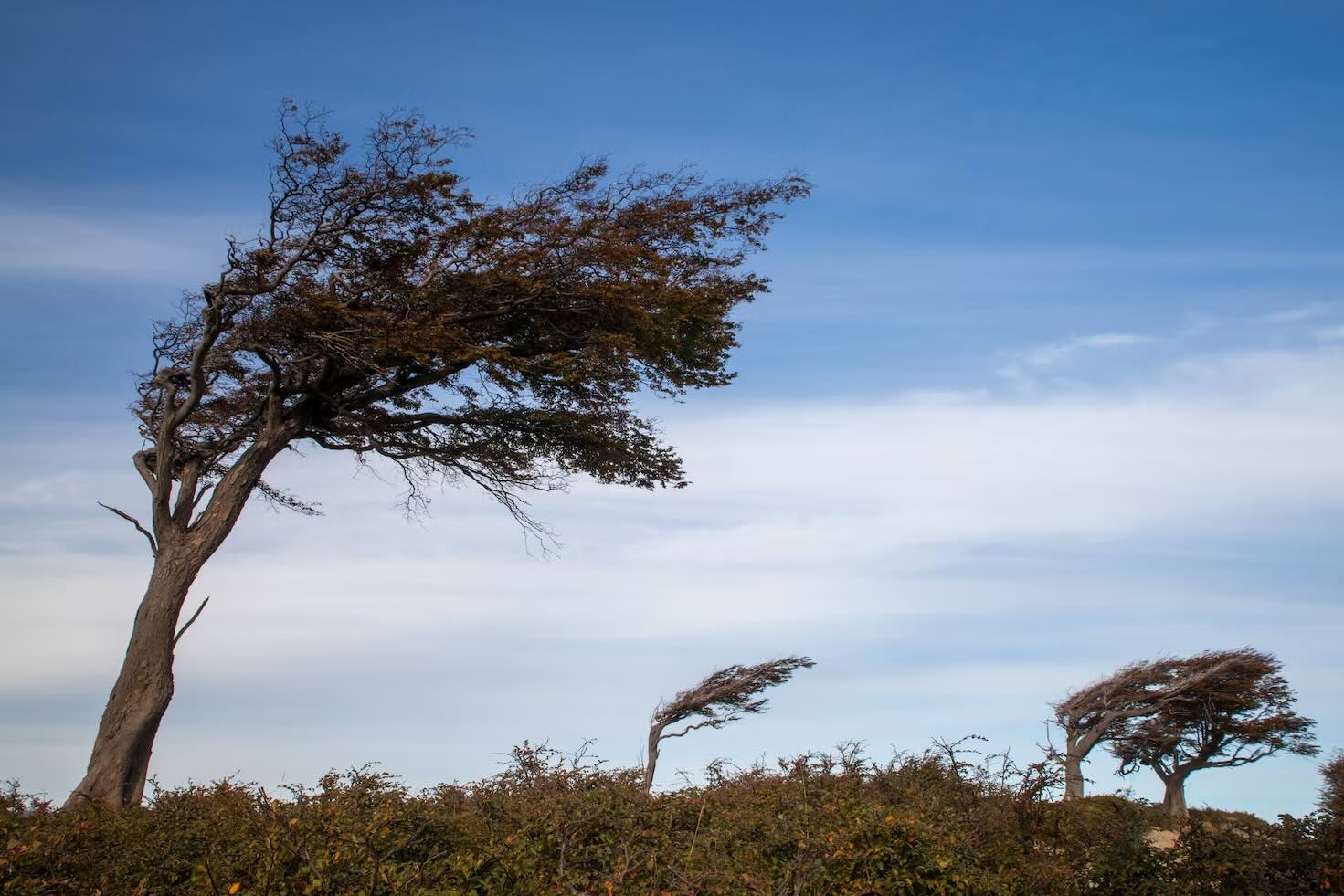 15-facts-about-high-wind-warning