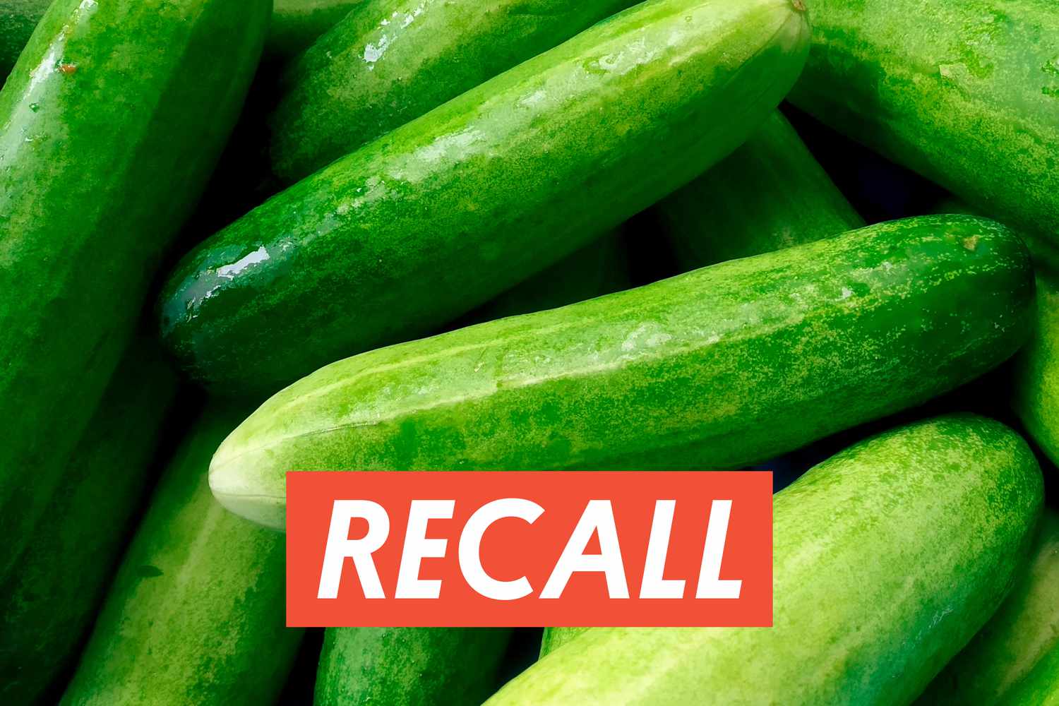 15-food-safety-facts-about-a-2025-cucumber-recall