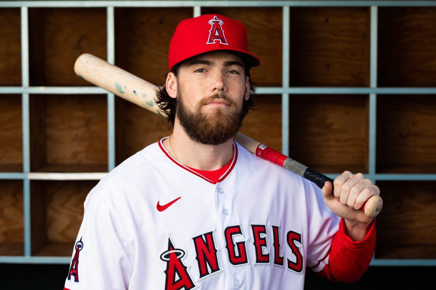 15-key-facts-about-brandon-marsh