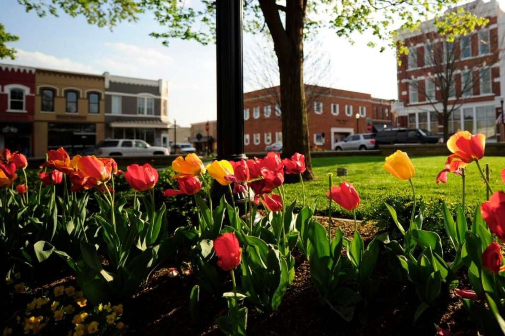 15-unique-facts-about-bentonville-ar