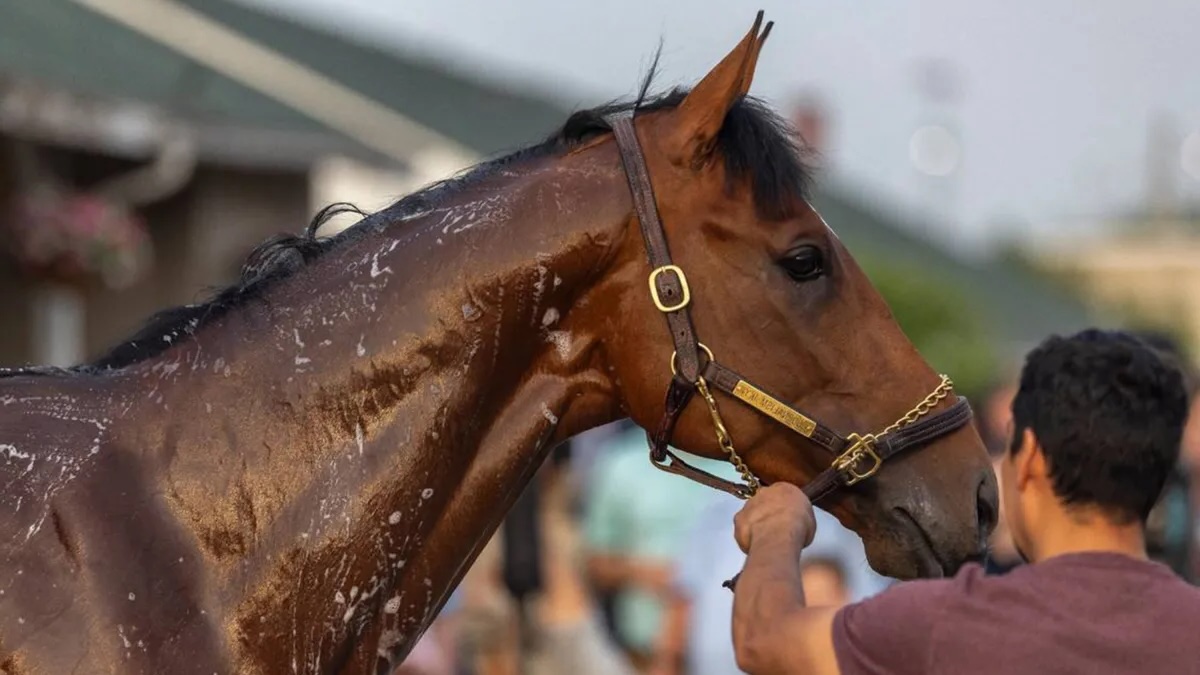 12-facts-about-journalism-horse