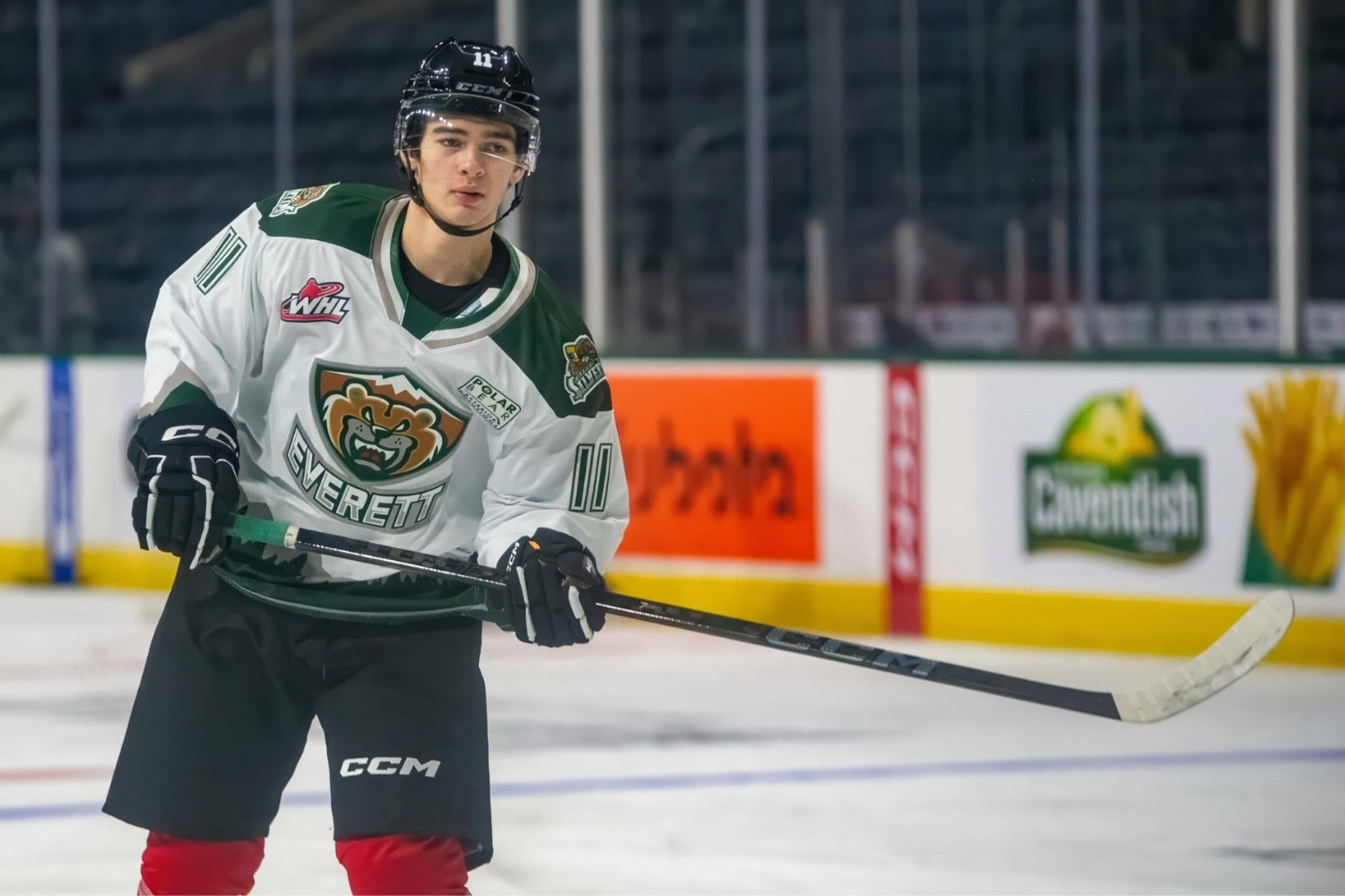 14-facts-about-carter-bear