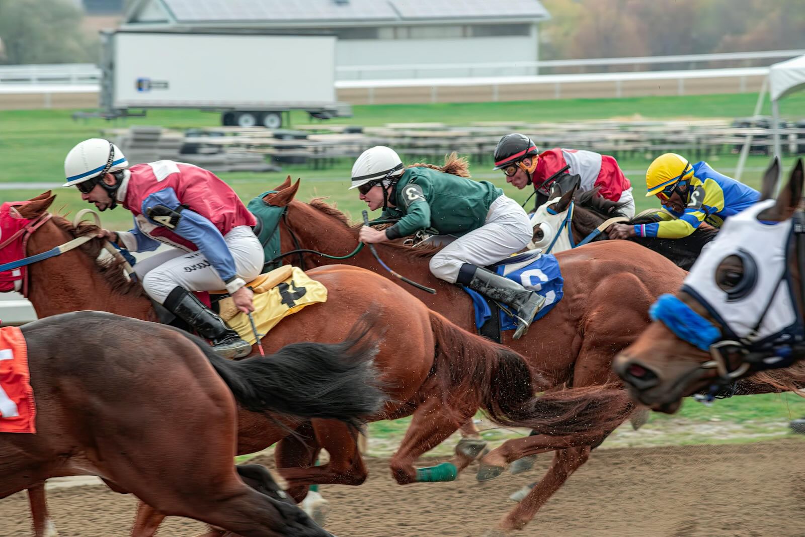 15-facts-about-belmont-stakes-2025