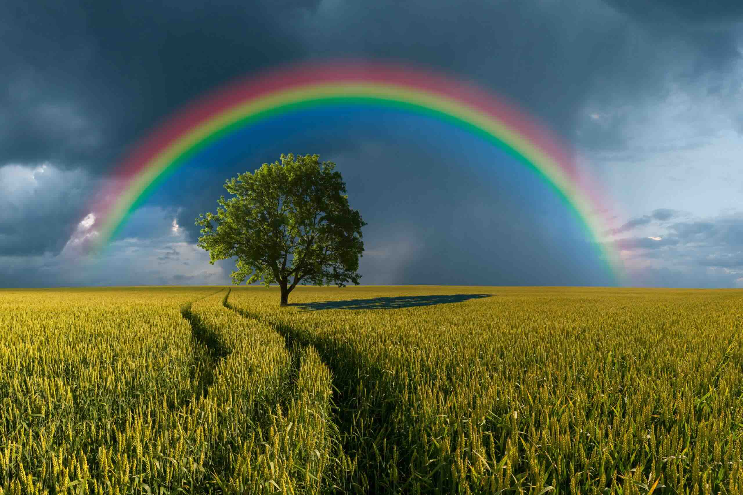 15-facts-about-genesis-912-16