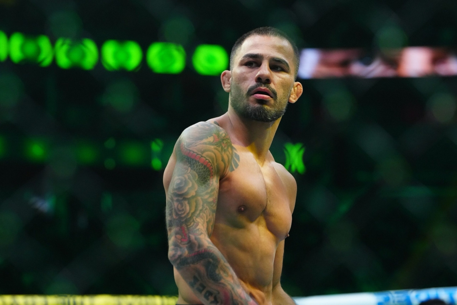 18-facts-about-alexandre-pantoja
