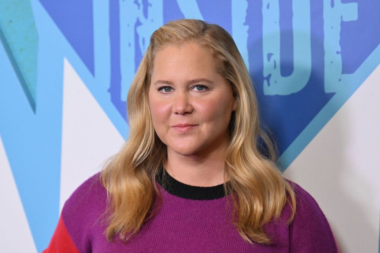20-facts-about-amy-schumer