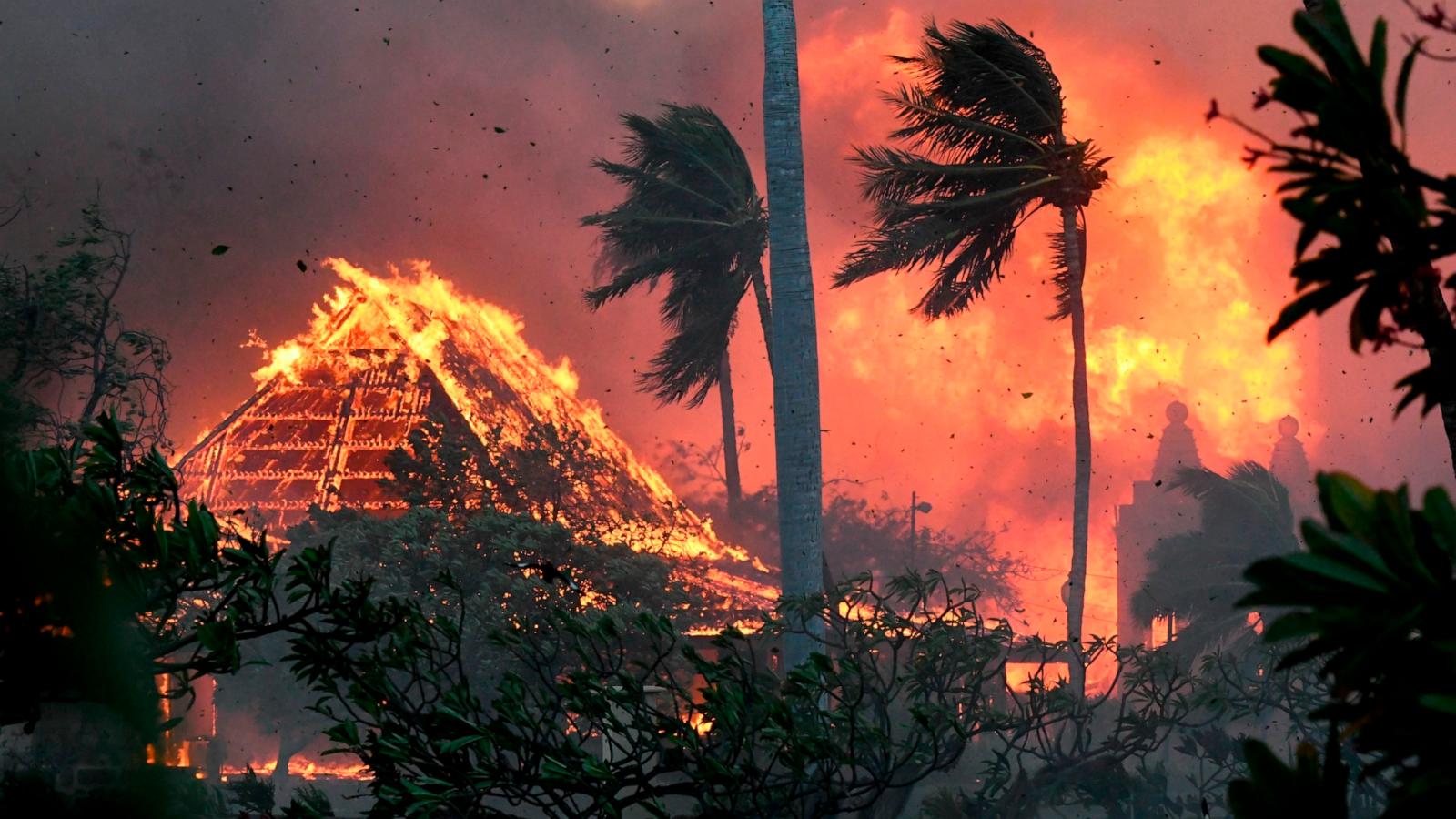 25-facts-about-the-maui-wildfire-disaster