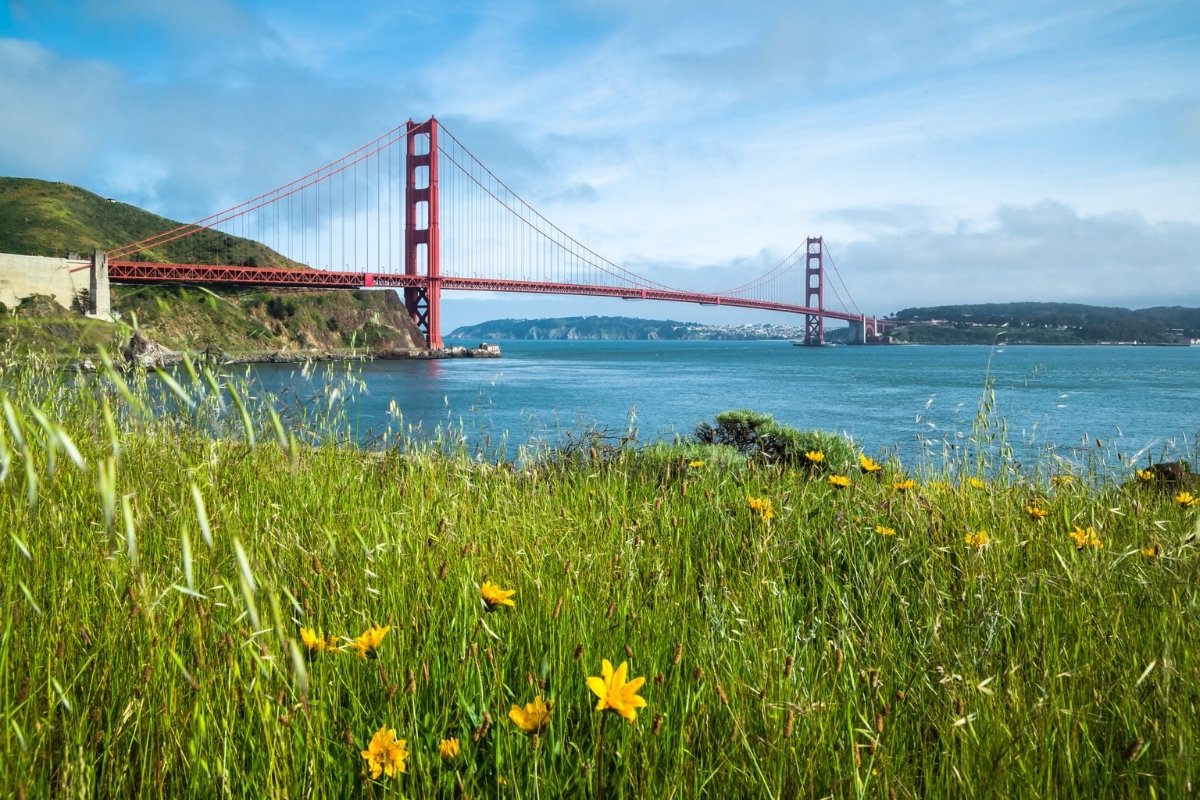 40-facts-about-like-san-francisco-during-the-summer