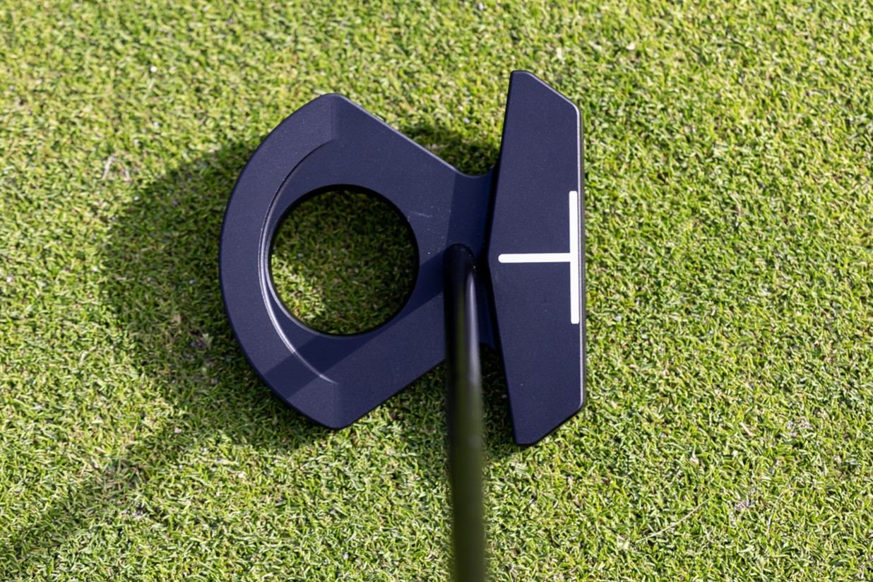 25-facts-about-lab-putters