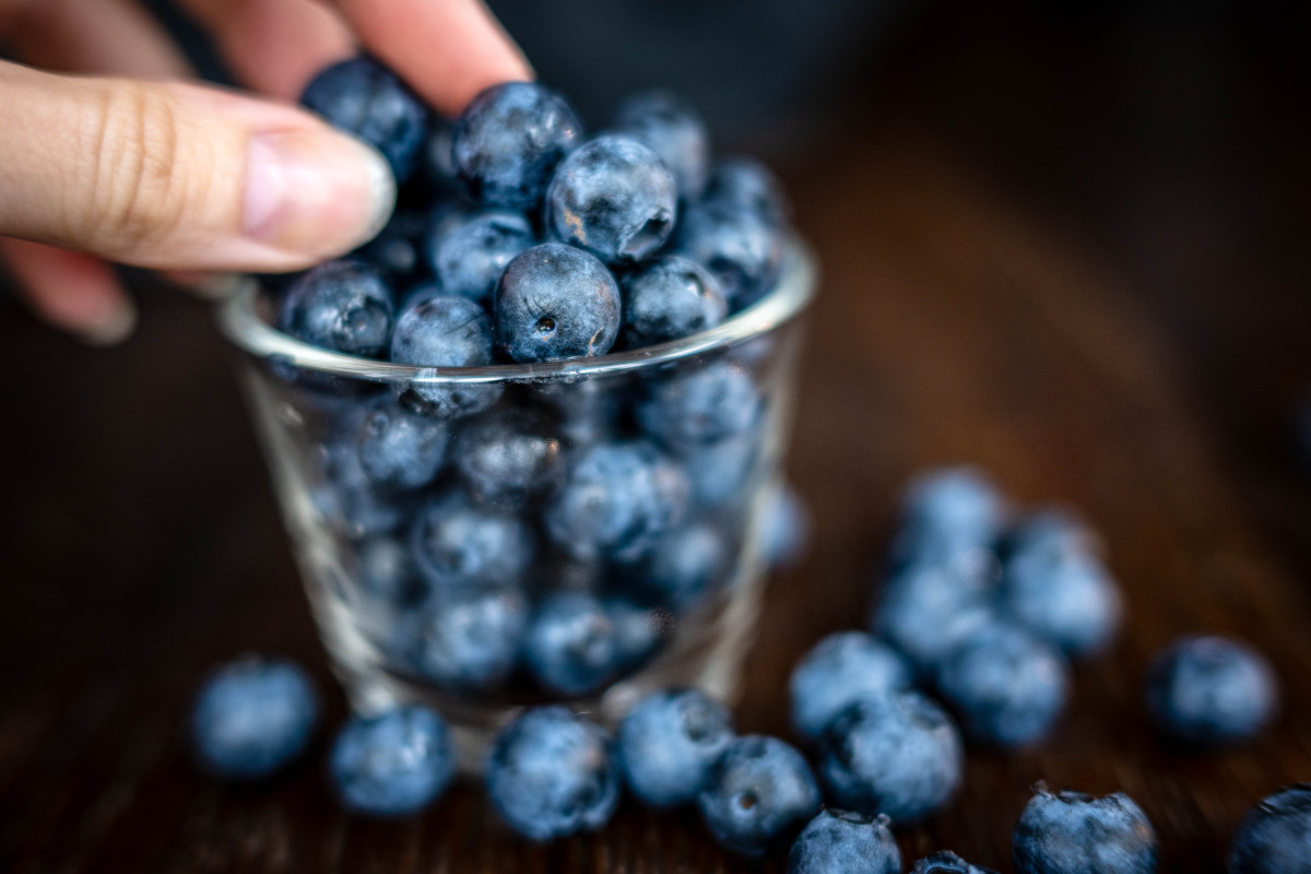 25-facts-about-the-fda-blueberry-listeria-recall