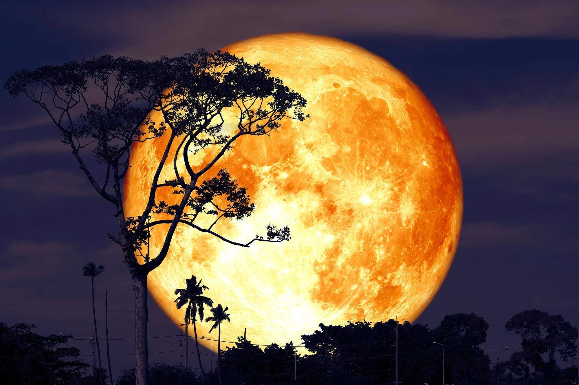 30-facts-about-the-buck-moon