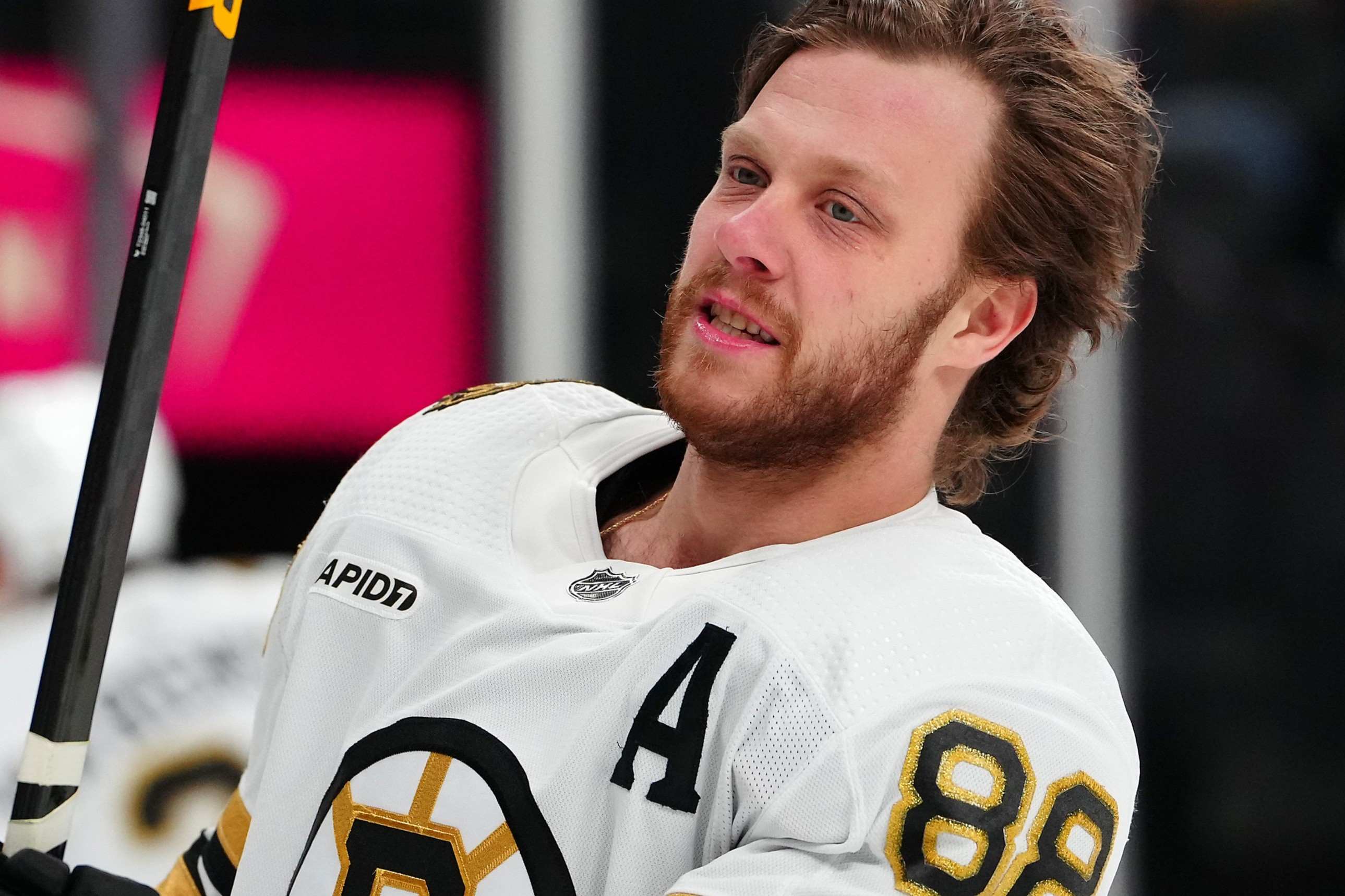 35-facts-about-david-pastrnak