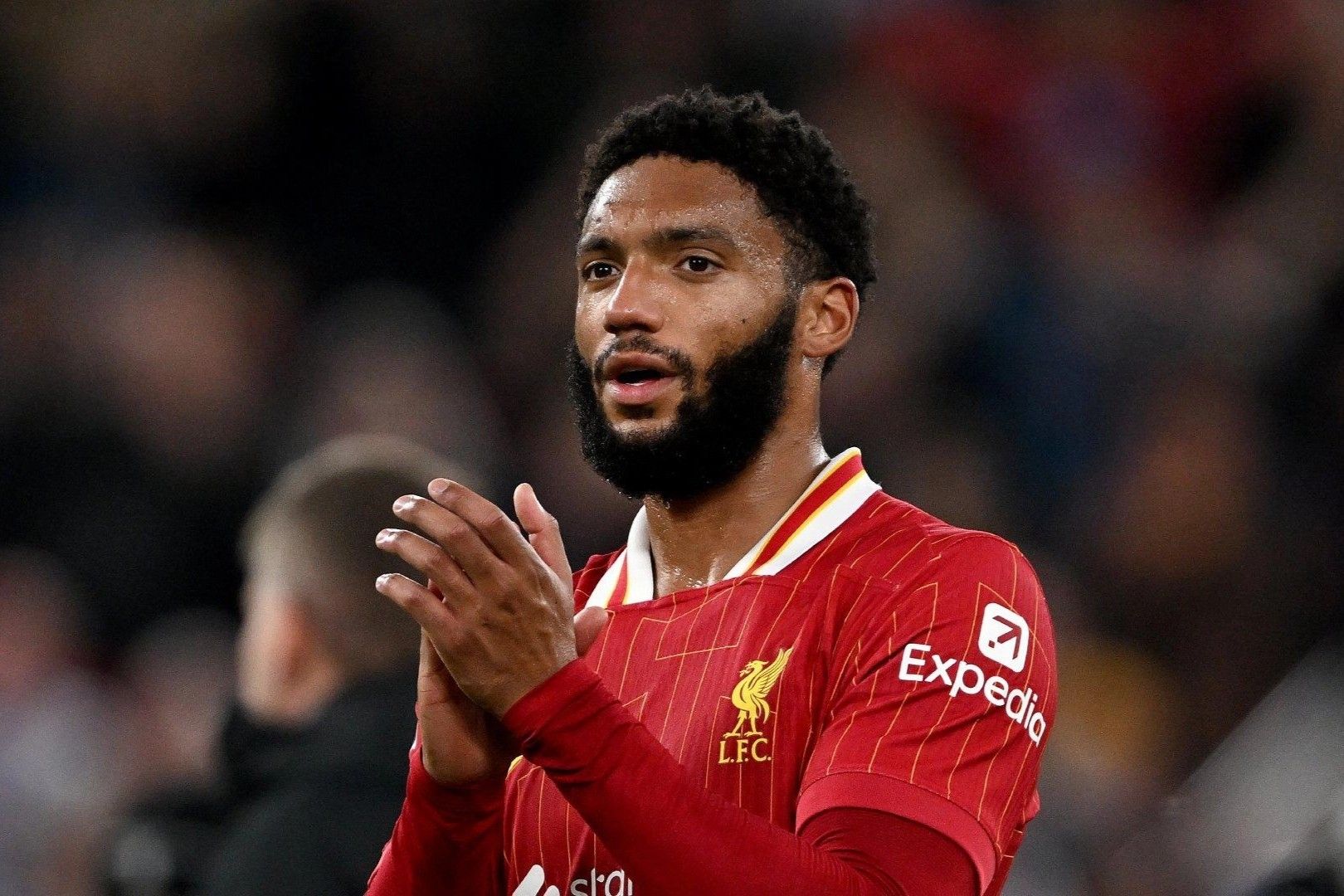 40-facts-about-joe-gomez