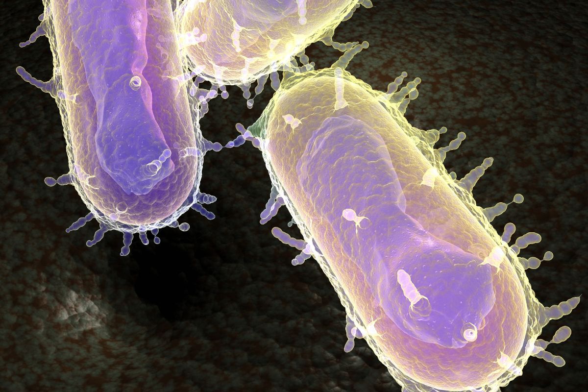 60-facts-about-the-bubonic-plague