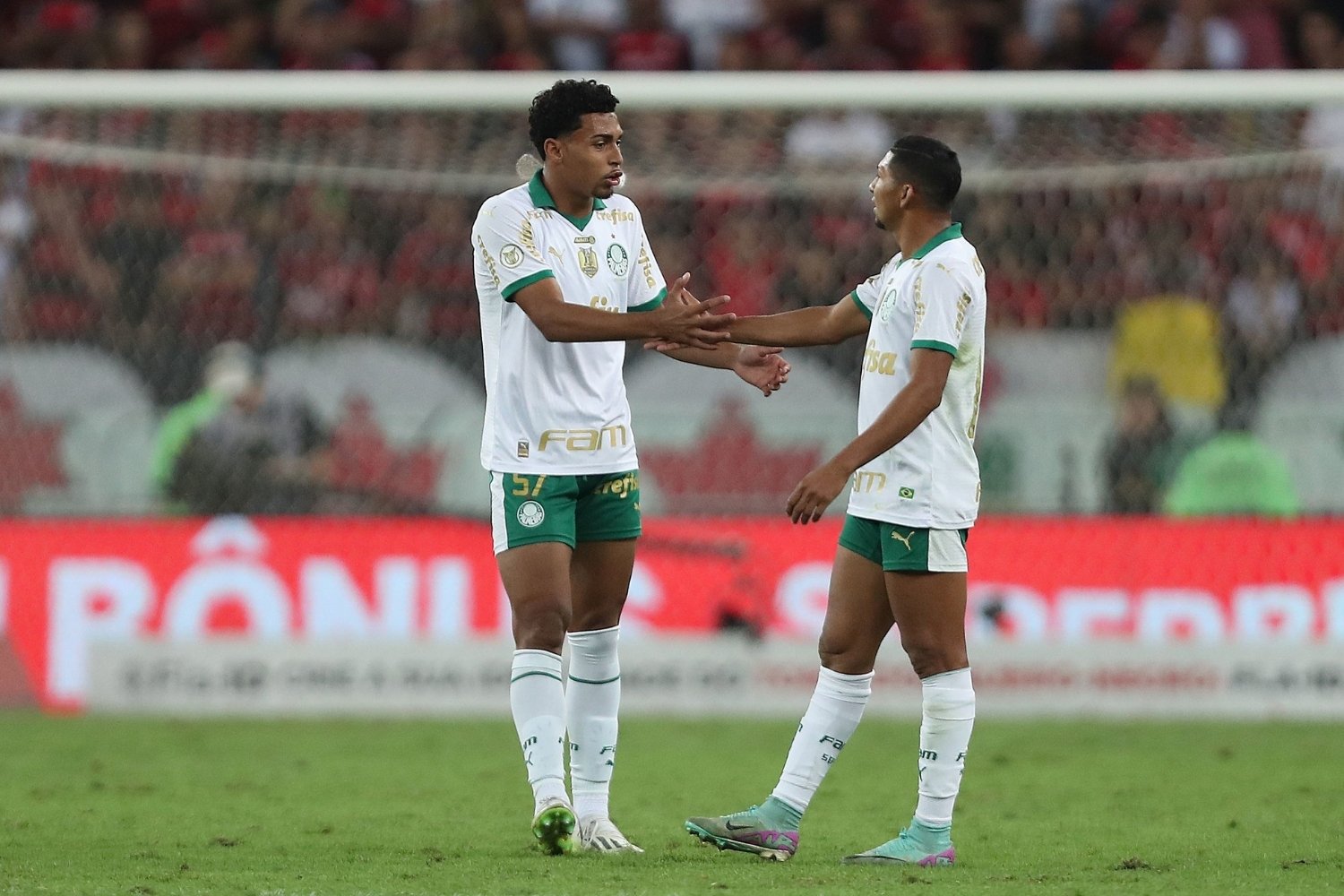 15-facts-about-the-botafogo-vs-palmeiras-matchup
