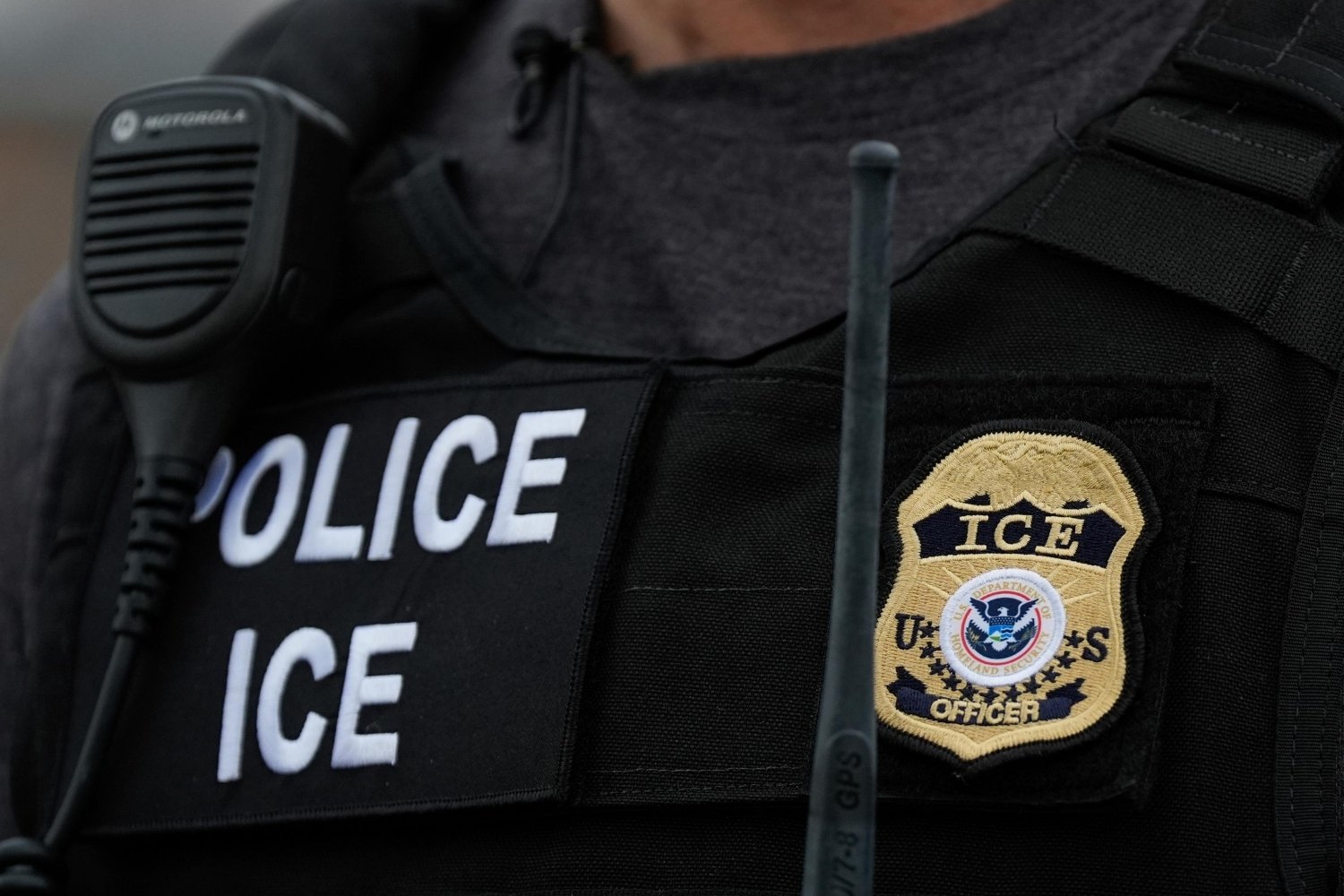 30 Facts About ICE Immigration And Customs Enforcement Facts
