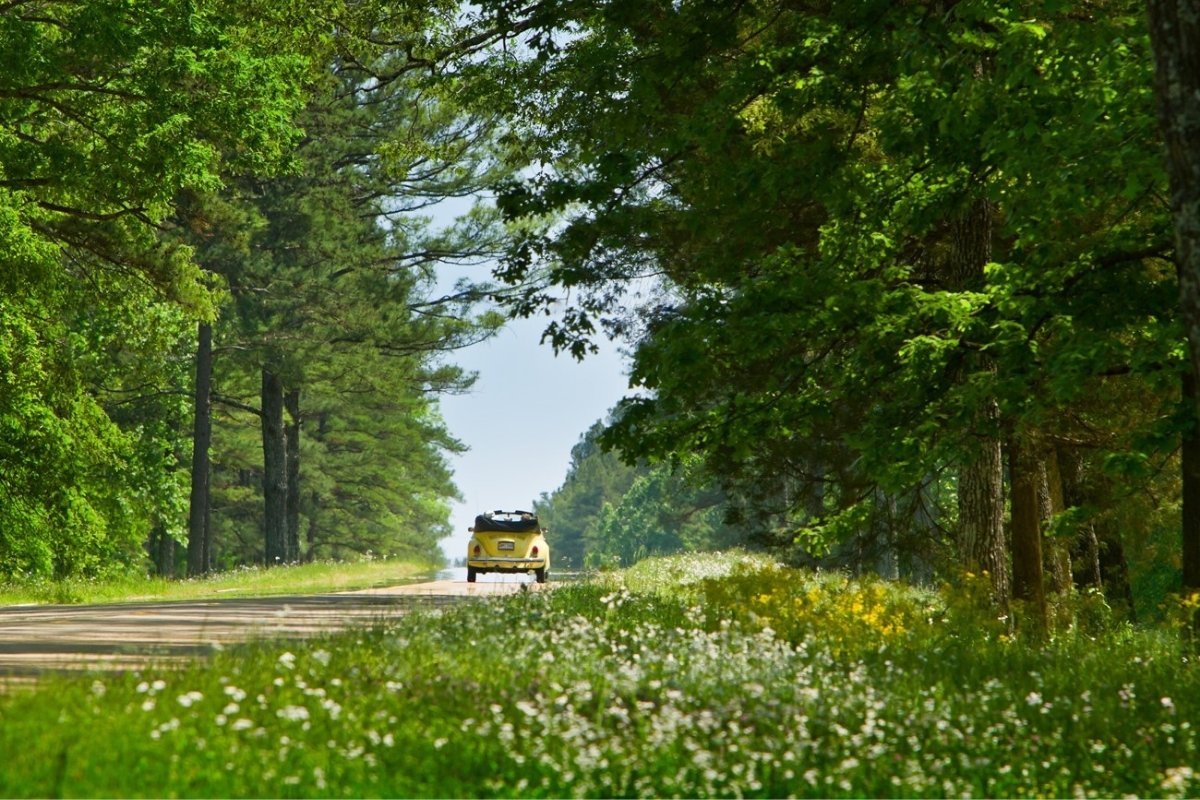 24-facts-about-tupelo-mississippi