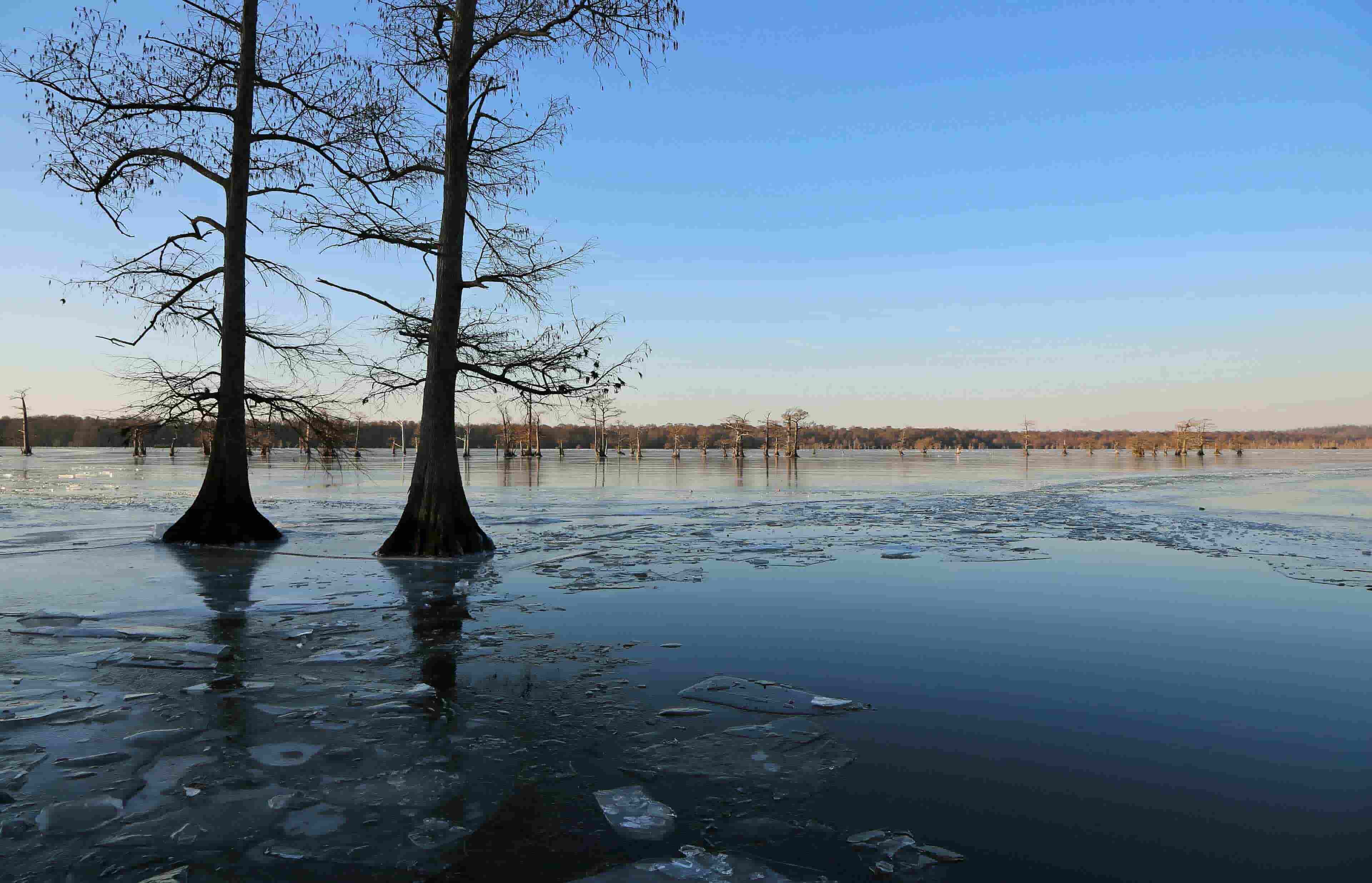 25-facts-about-tiptonville-tn