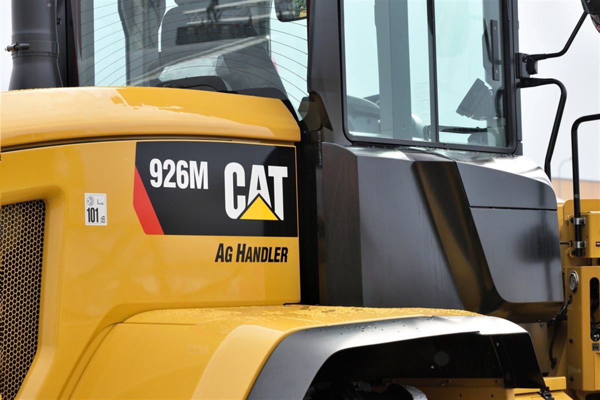 30-facts-about-cat-stock
