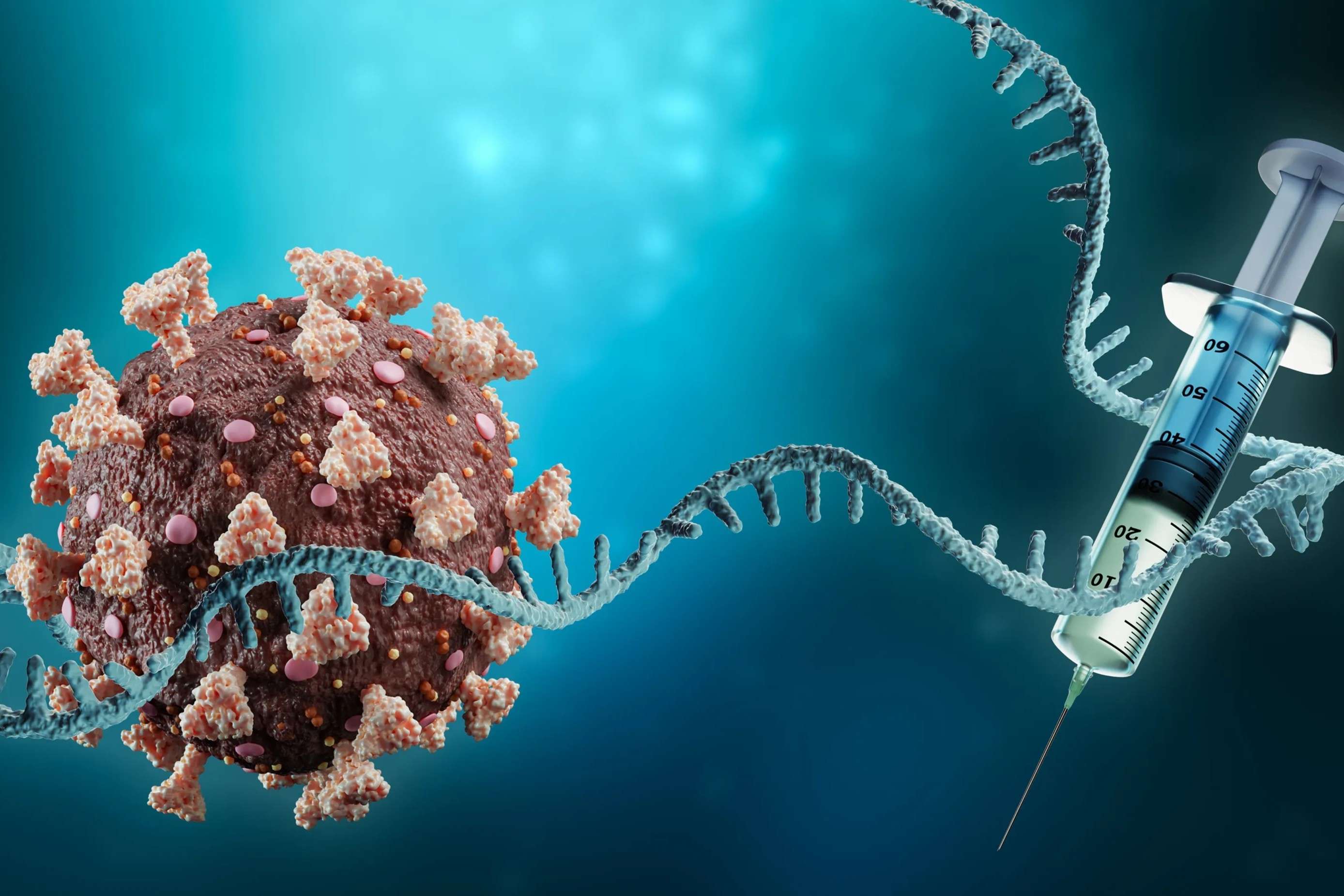 30-facts-about-mrna-vaccine