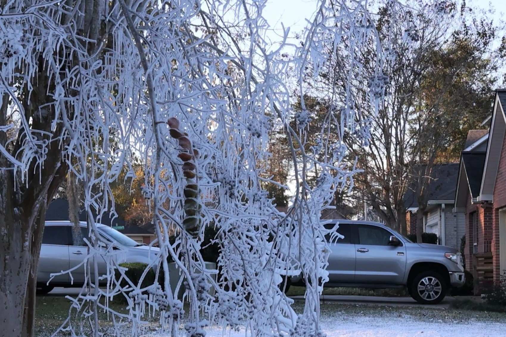 30-facts-about-tallahassee-weather