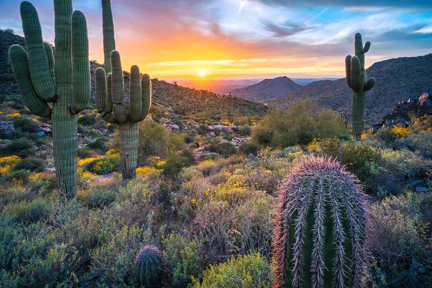 50-facts-about-arizona