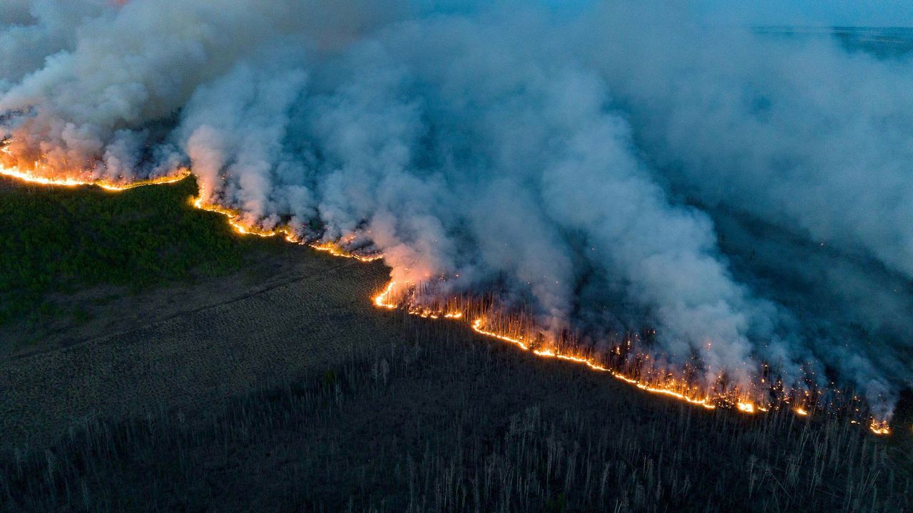 50-facts-about-canadian-wildfires