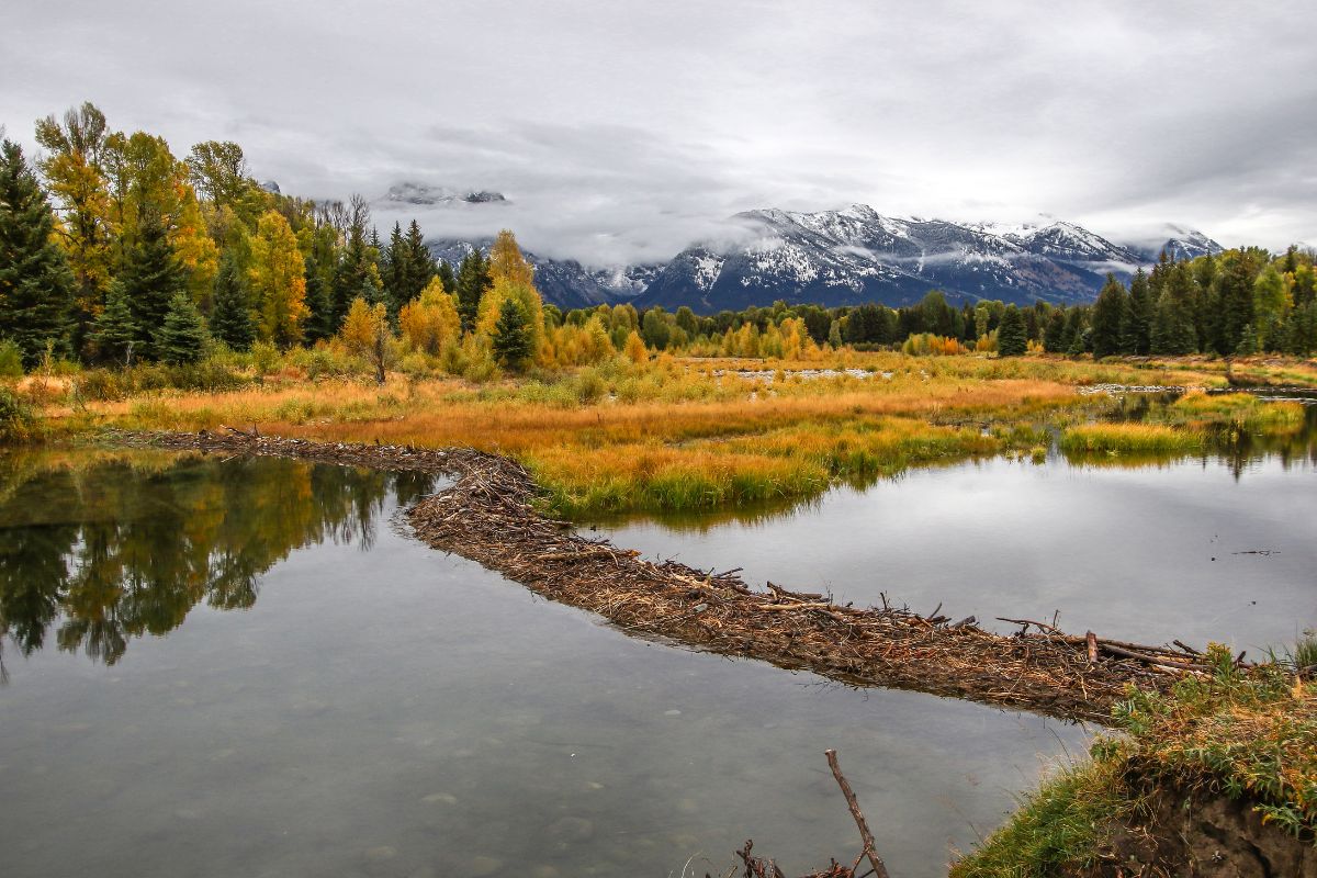 10-facts-about-beaver-dam-swim-club