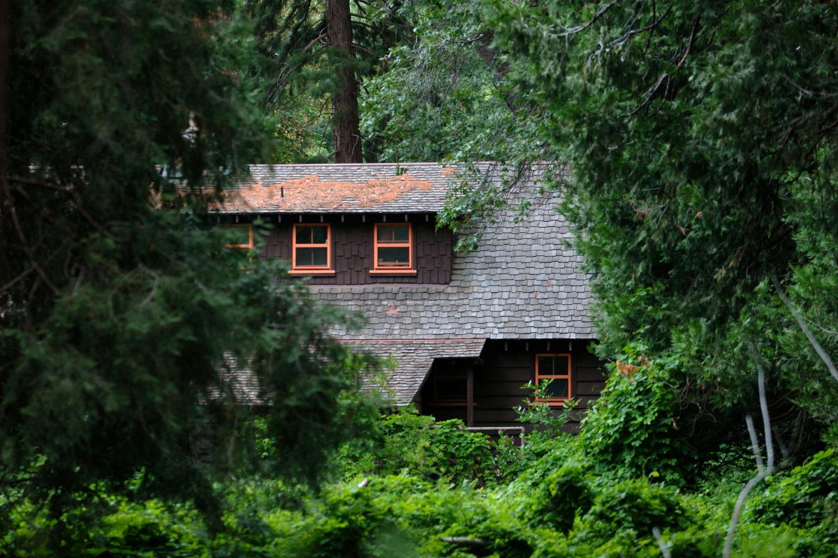 10-facts-about-forest-lodge