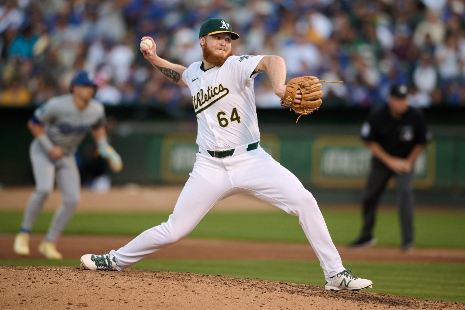 20-facts-about-will-klein