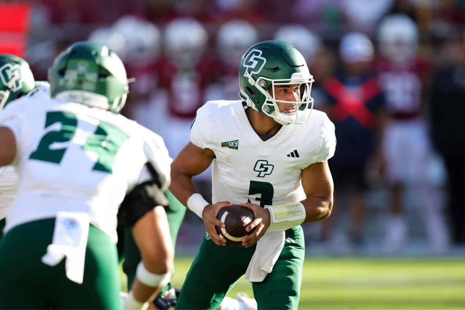 25-facts-about-cal-poly-mustangs-vs-sfa-lumberjacks-football