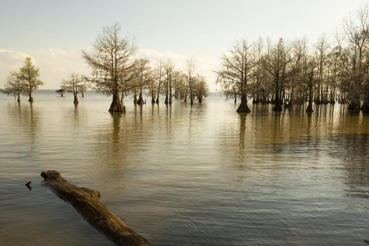 30-facts-about-santee-cooper