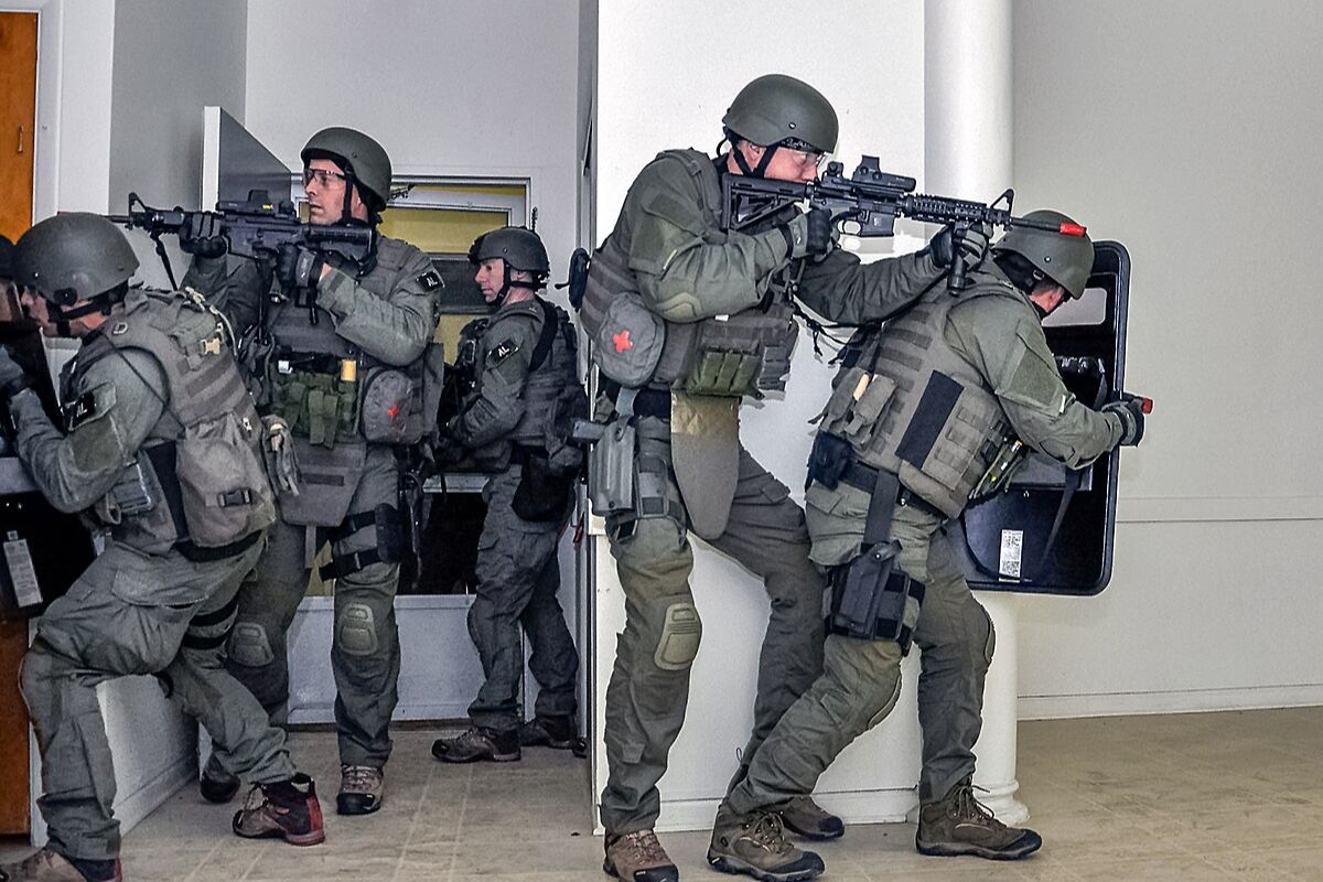 30-facts-about-swatting