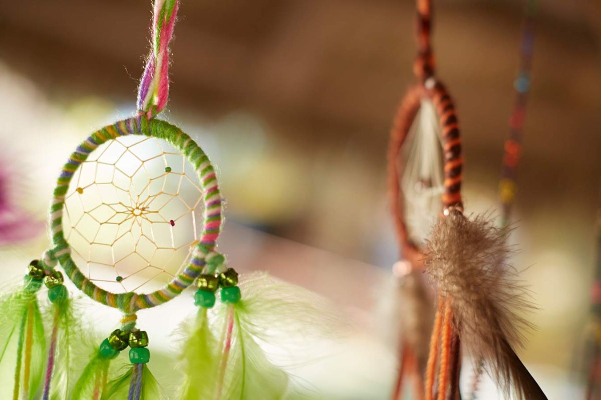 35-facts-about-the-miccosukee-nation