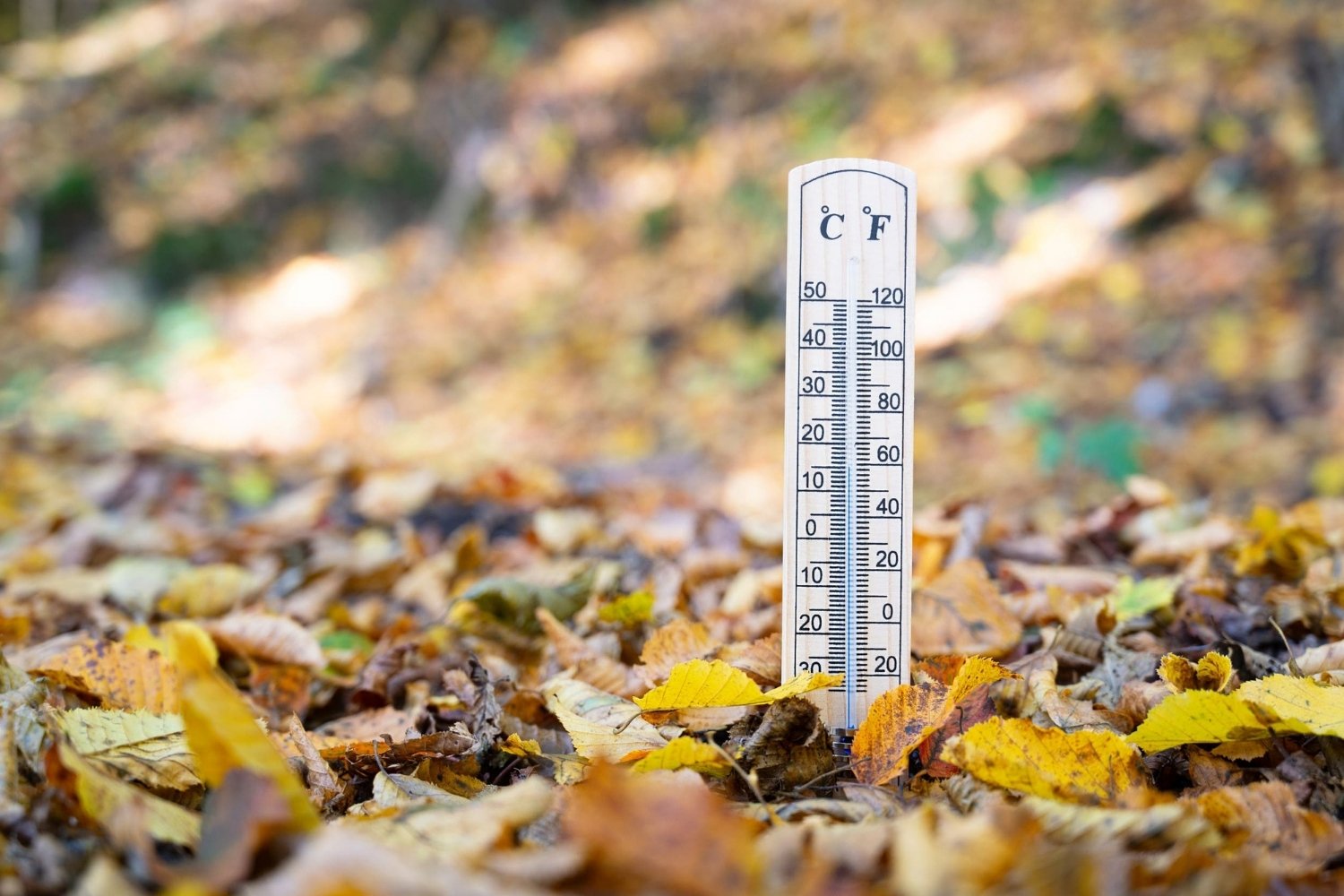 25-facts-about-freeze-warnings
