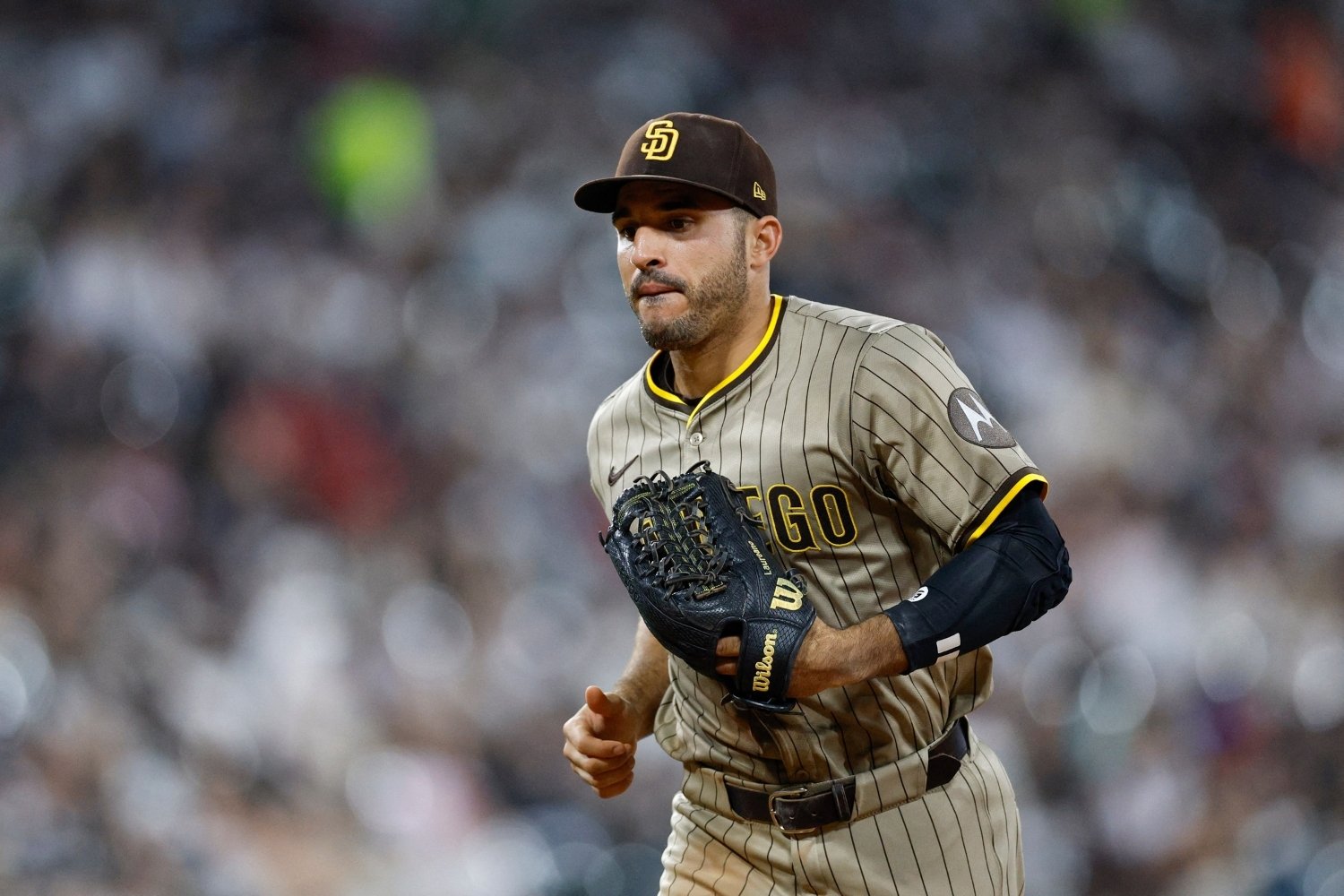29 Facts About Ramn Laureano