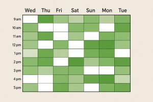 30 Facts About When2Meet